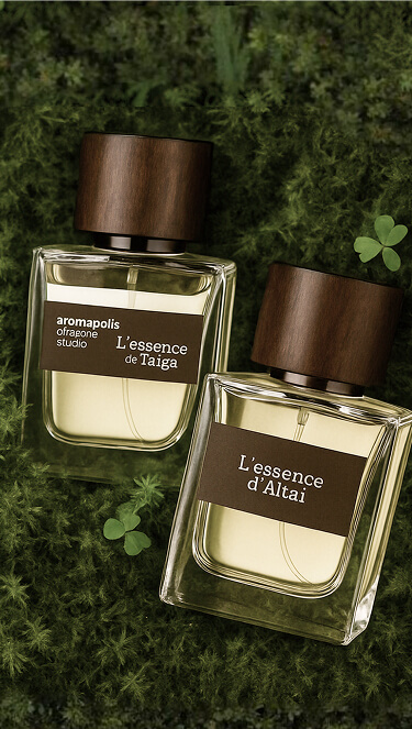 Описание изображения